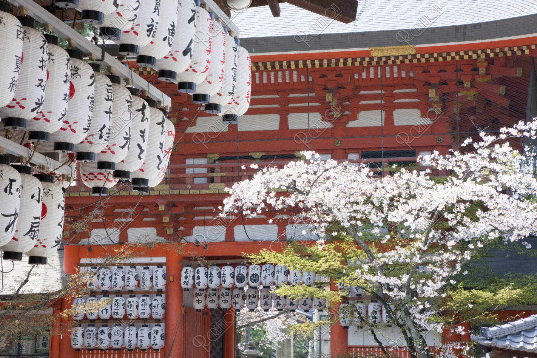桜と八坂神社楼門DP707類似した作品Simular Posts