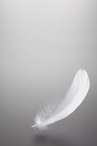 白い羽根
