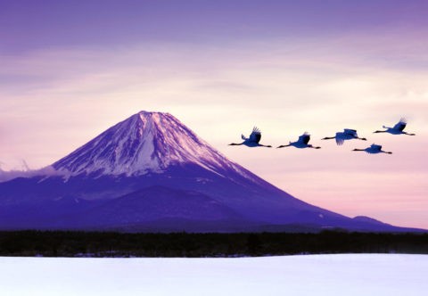 富士山とタンチョウヅル