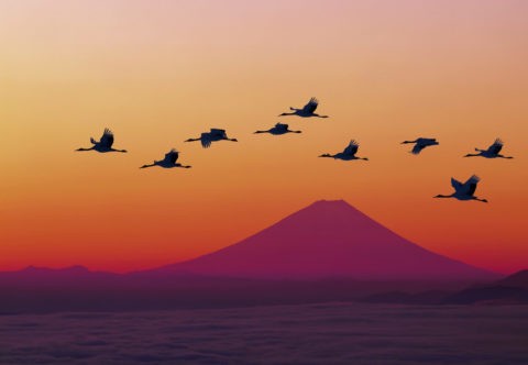 富士山とタンチョウヅル