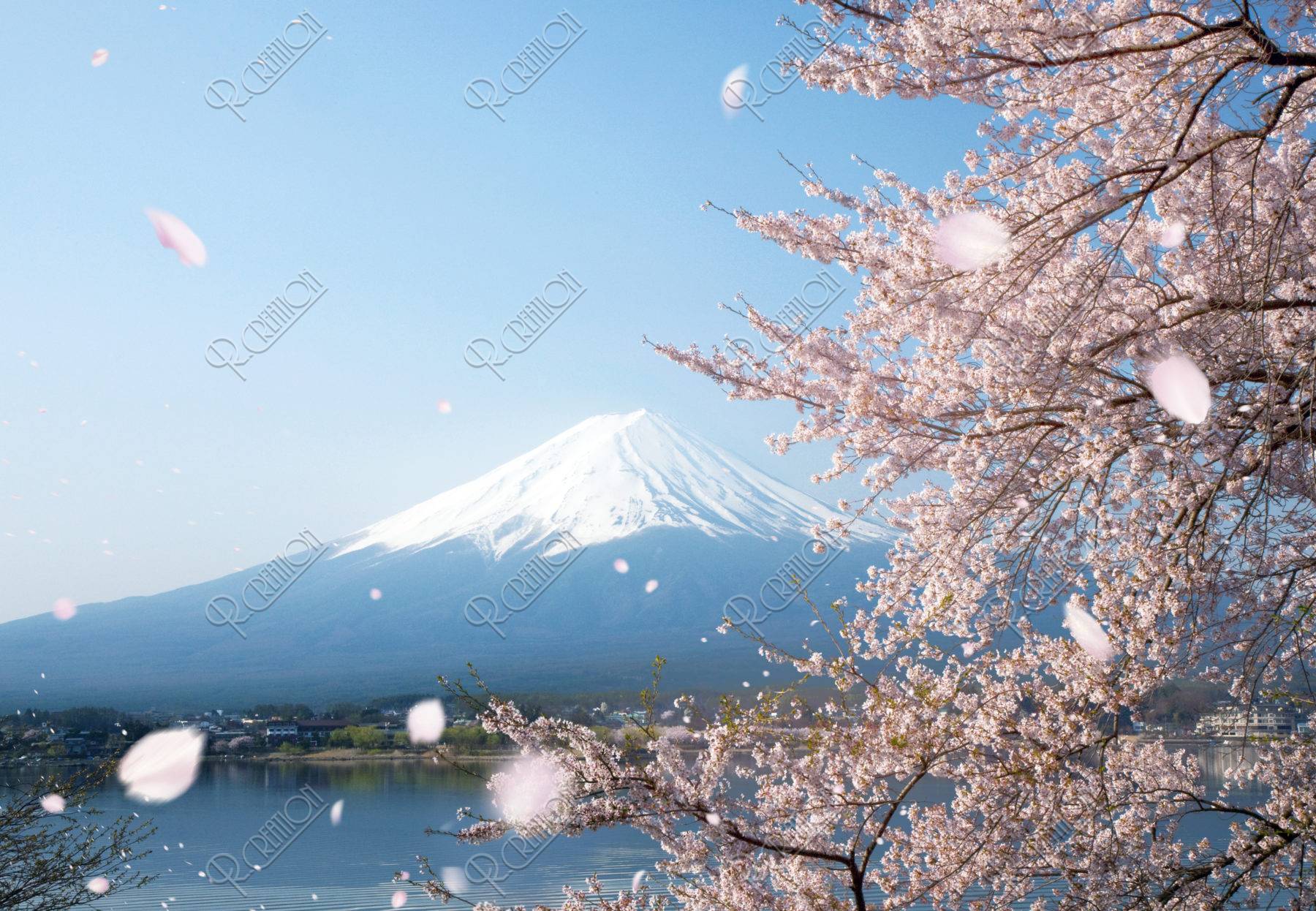 富士山と桜吹雪 ストックフォト アールクリエーション