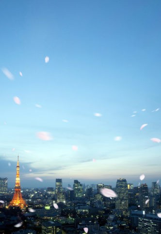 東京市街と桜吹雪