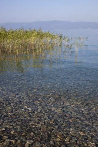 オフリド湖 世界遺産