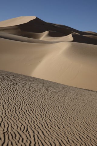風紋とサハラ砂漠の砂丘 世界遺産