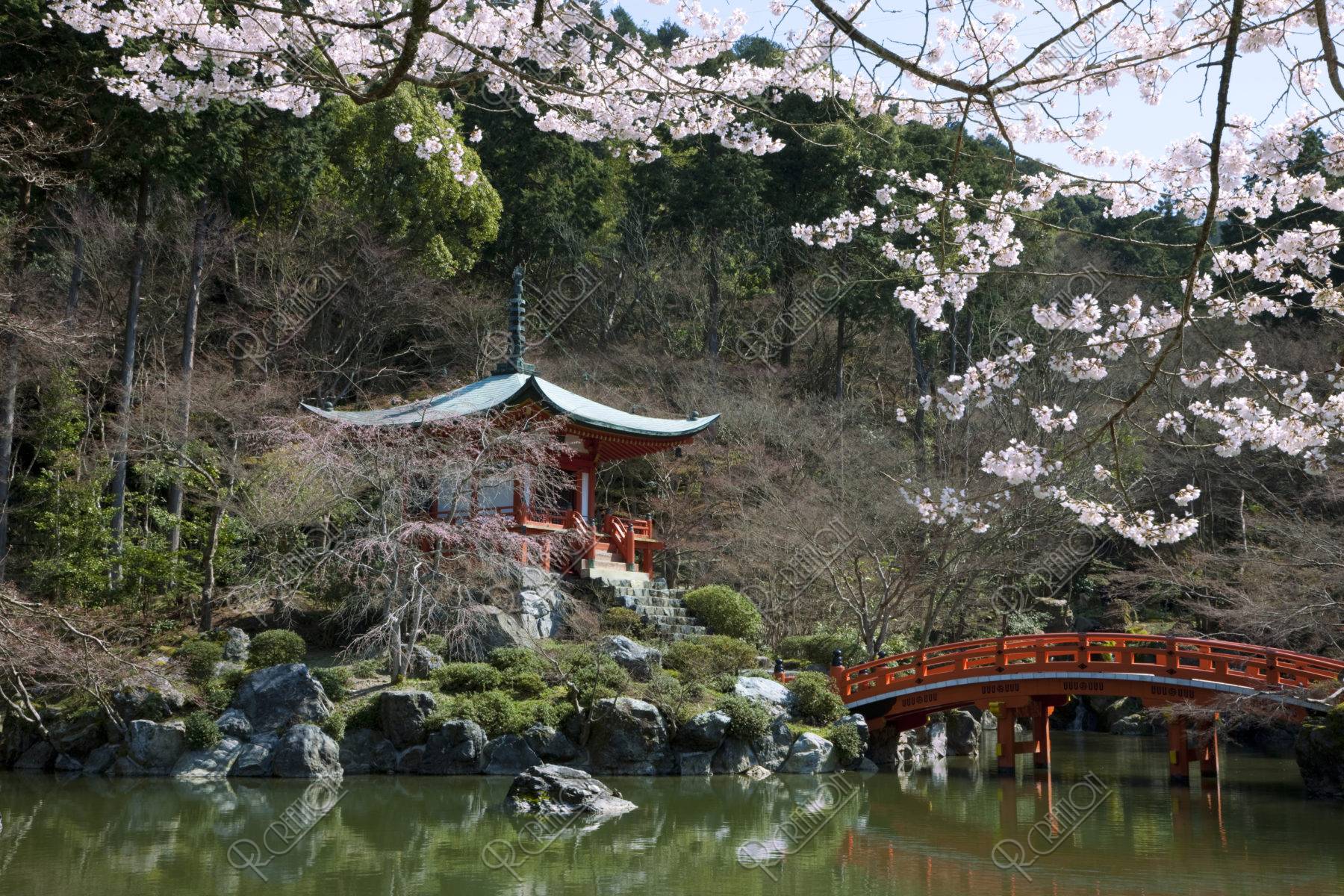 醍醐寺弁天堂と桜 世界遺産