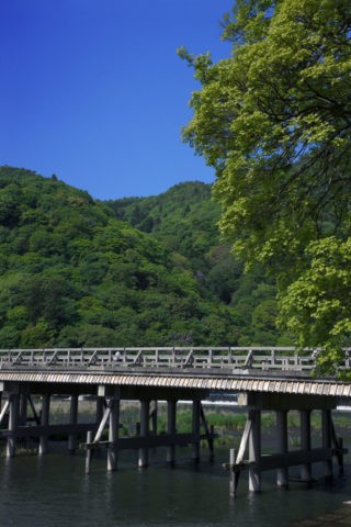 嵐山 渡月橋と新緑