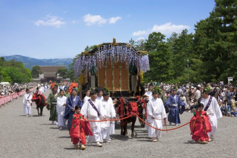 葵祭り