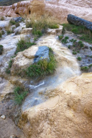 天然鉱泉水の湧水