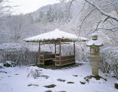 雪の白龍園