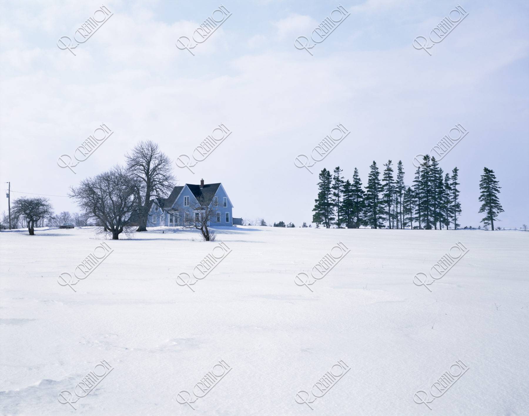 雪の中の青い家