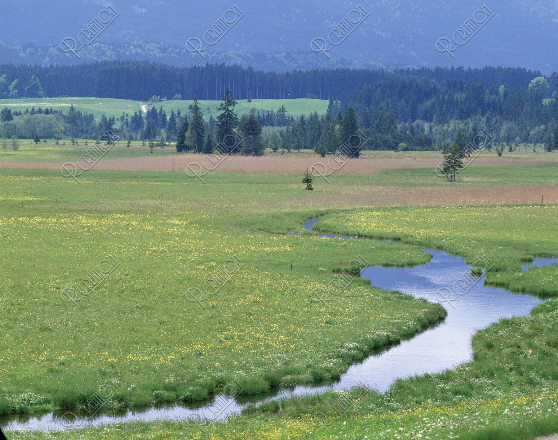 草原と小川 西ドイツ