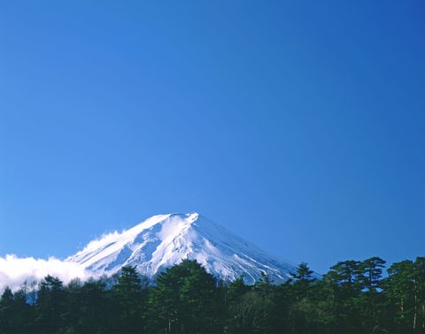新雪 富士山