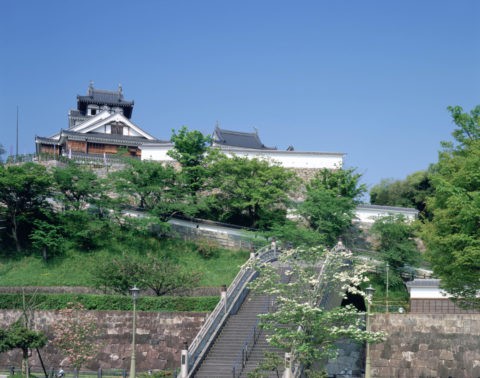 新緑の福知山城