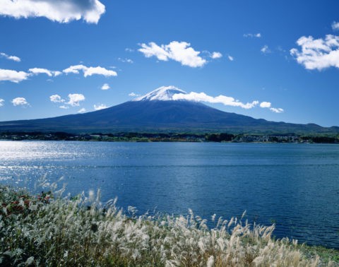 ススキと河口湖と富士山