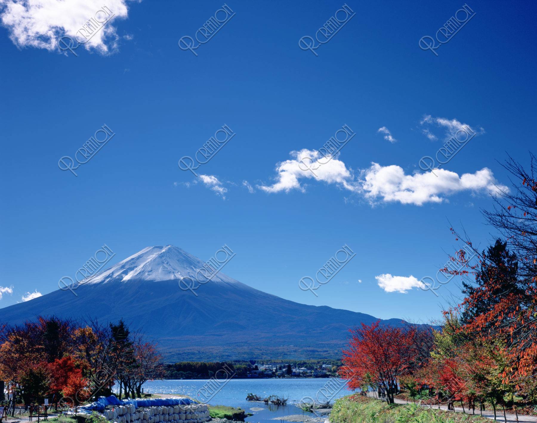 新雪の富士山と河口湖の紅葉