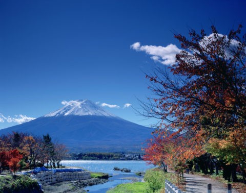 新雪の富士山と河口湖の紅葉