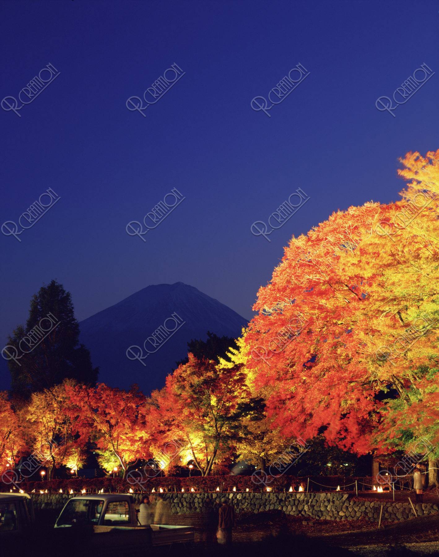紅葉回廊のライトアップと富士山の夜景