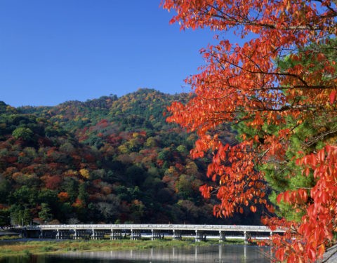 紅葉と嵐山渡月橋