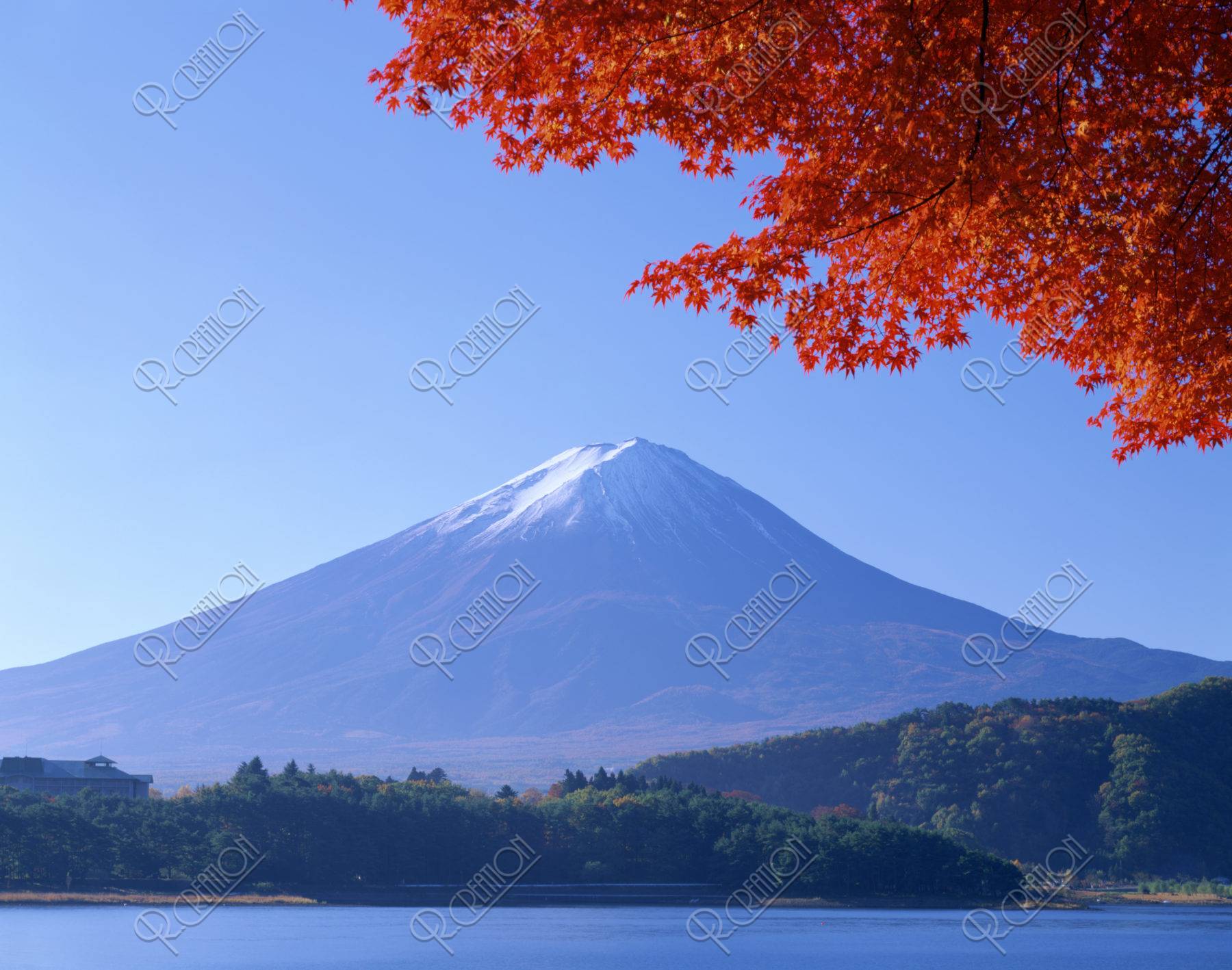 紅葉と富士山 河口湖