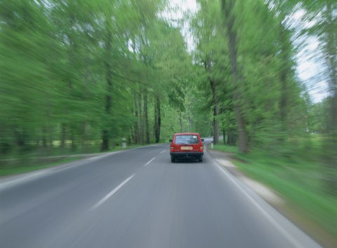 森を走り抜ける車 ドイツ