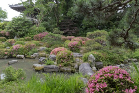 穴太寺 庭園