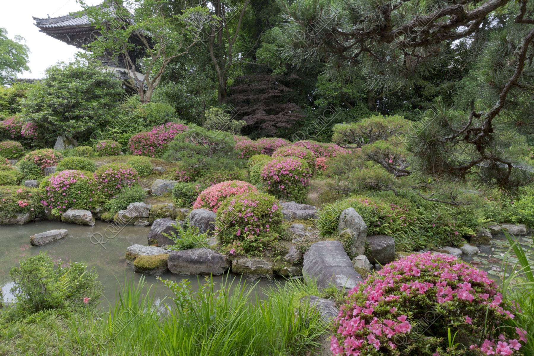 穴太寺 庭園