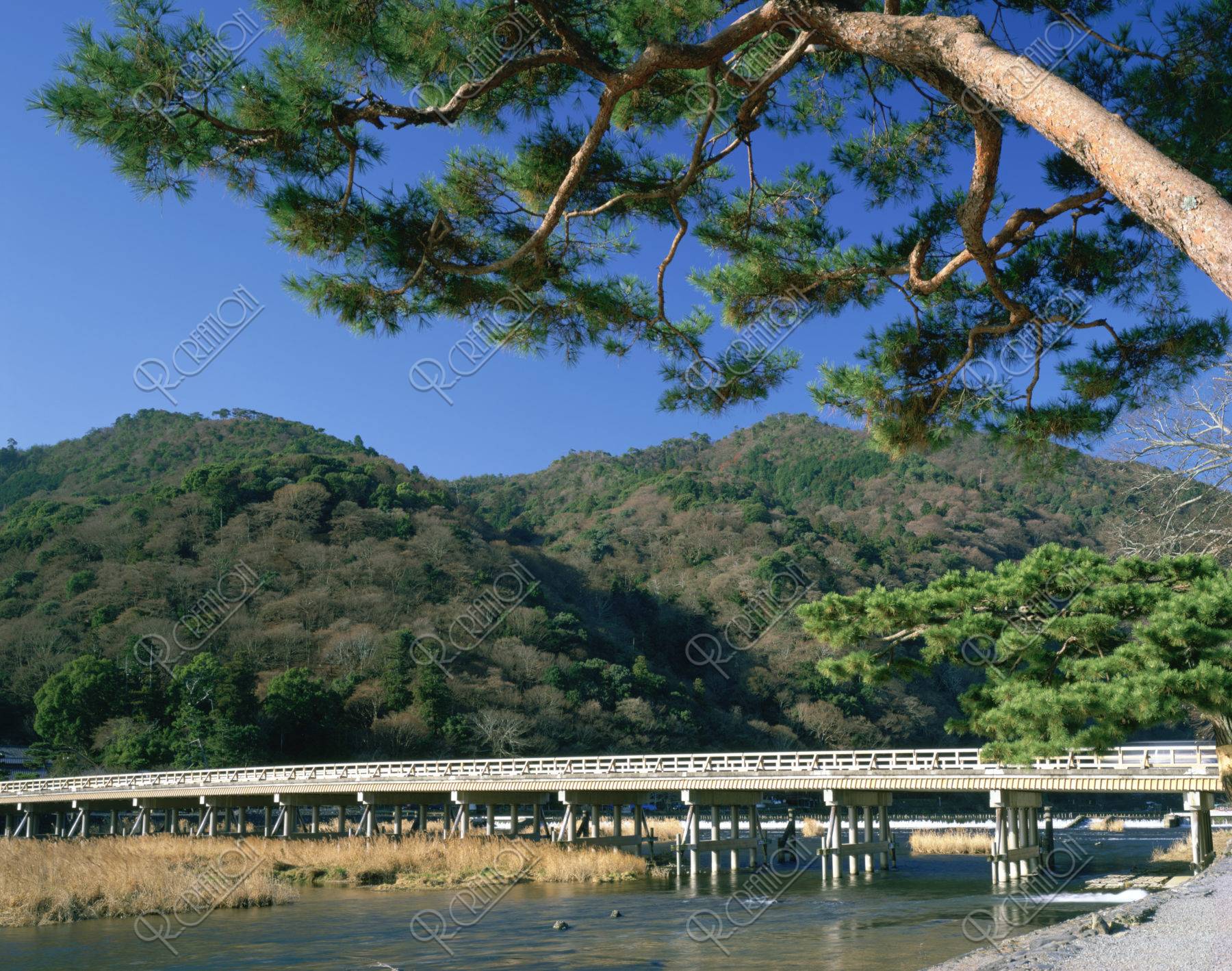 冬枯れの嵐山渡月橋