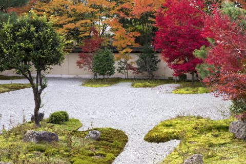 蘆山寺 庭園