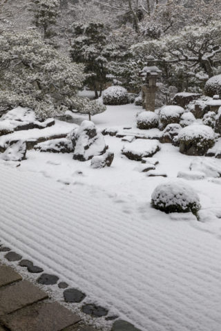 雪の妙満寺庭園