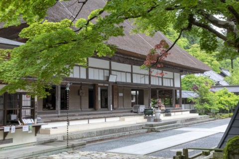 永源寺 新緑と本堂