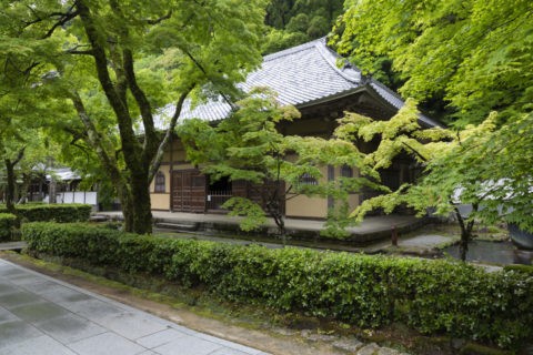 永源寺 新緑と法堂