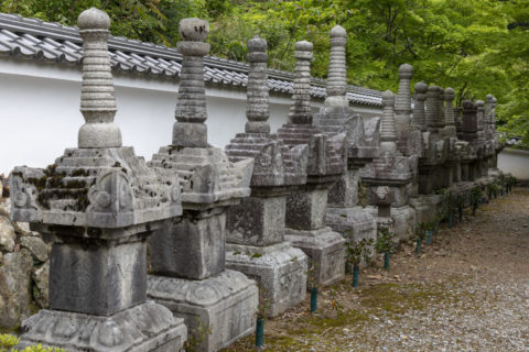徳源院 京極家の墓所
