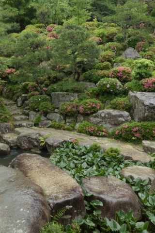 百済寺 庭園