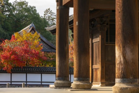 南禅寺三門と紅葉の天授庵
