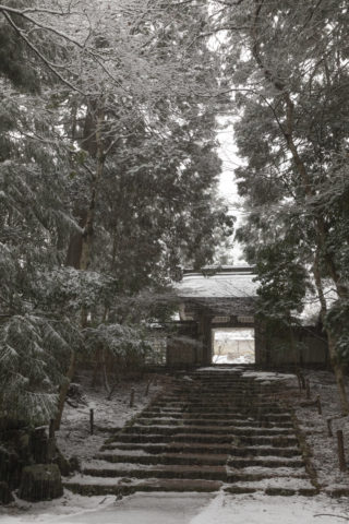 常照皇寺 参道  雪景色