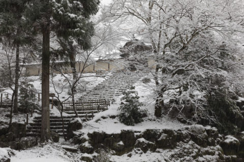 常照皇寺 勅使門  雪景色