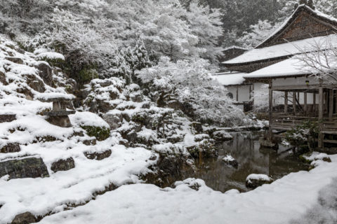 常照皇寺 方丈庭園 雪景色