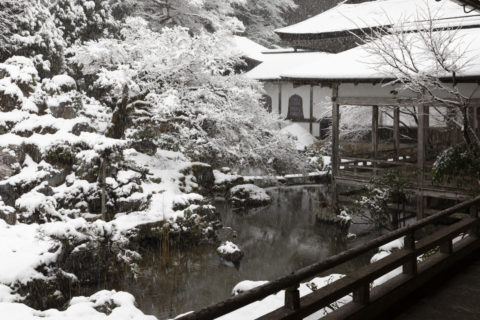 常照皇寺 方丈庭園 雪景色
