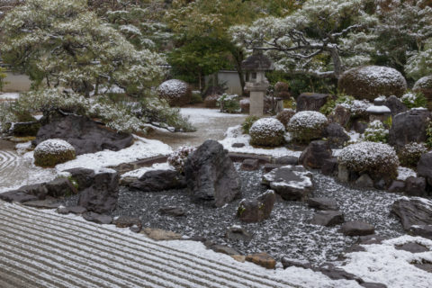 雪の妙満寺 庭園