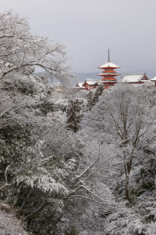 雪の清水寺