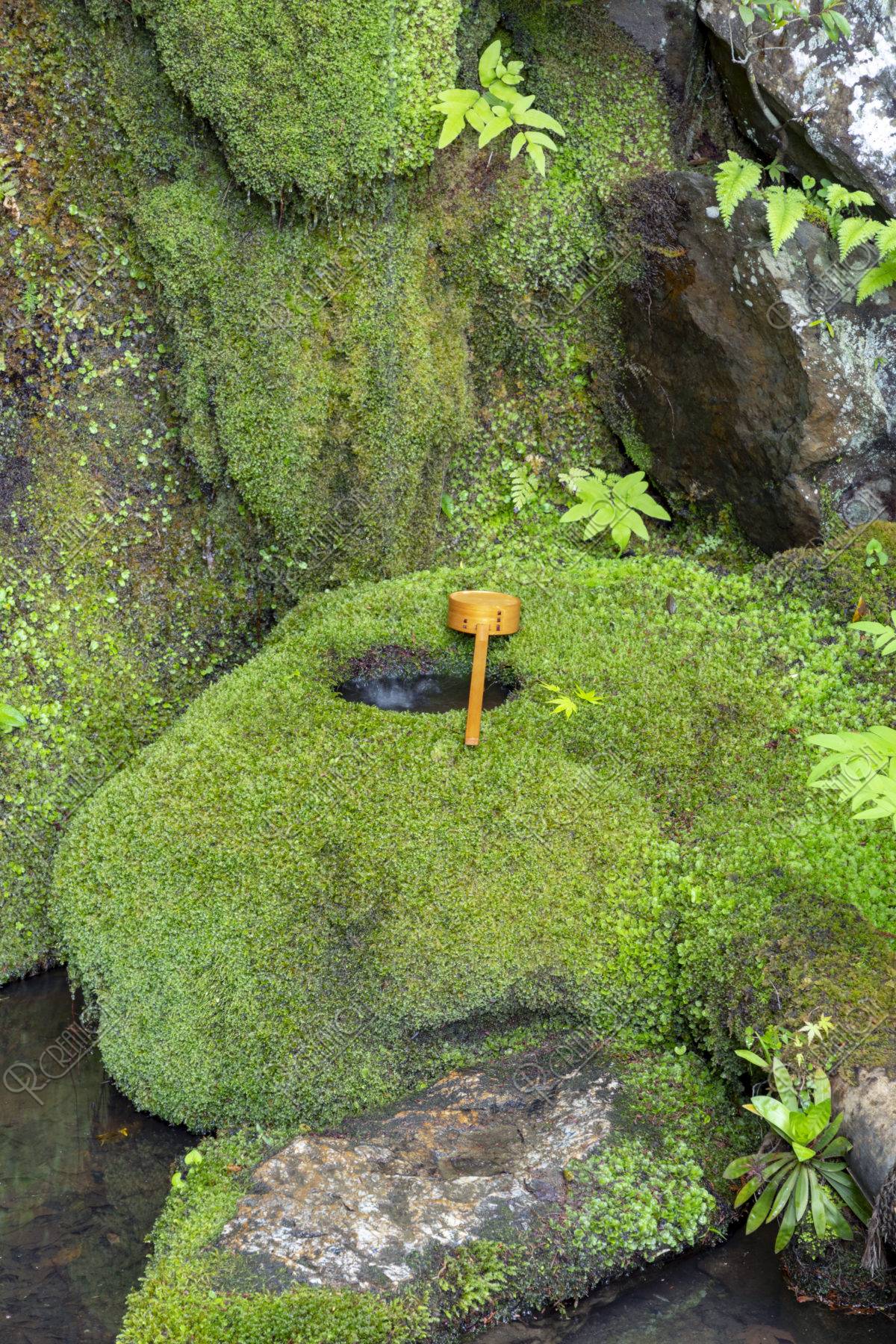苔むし た