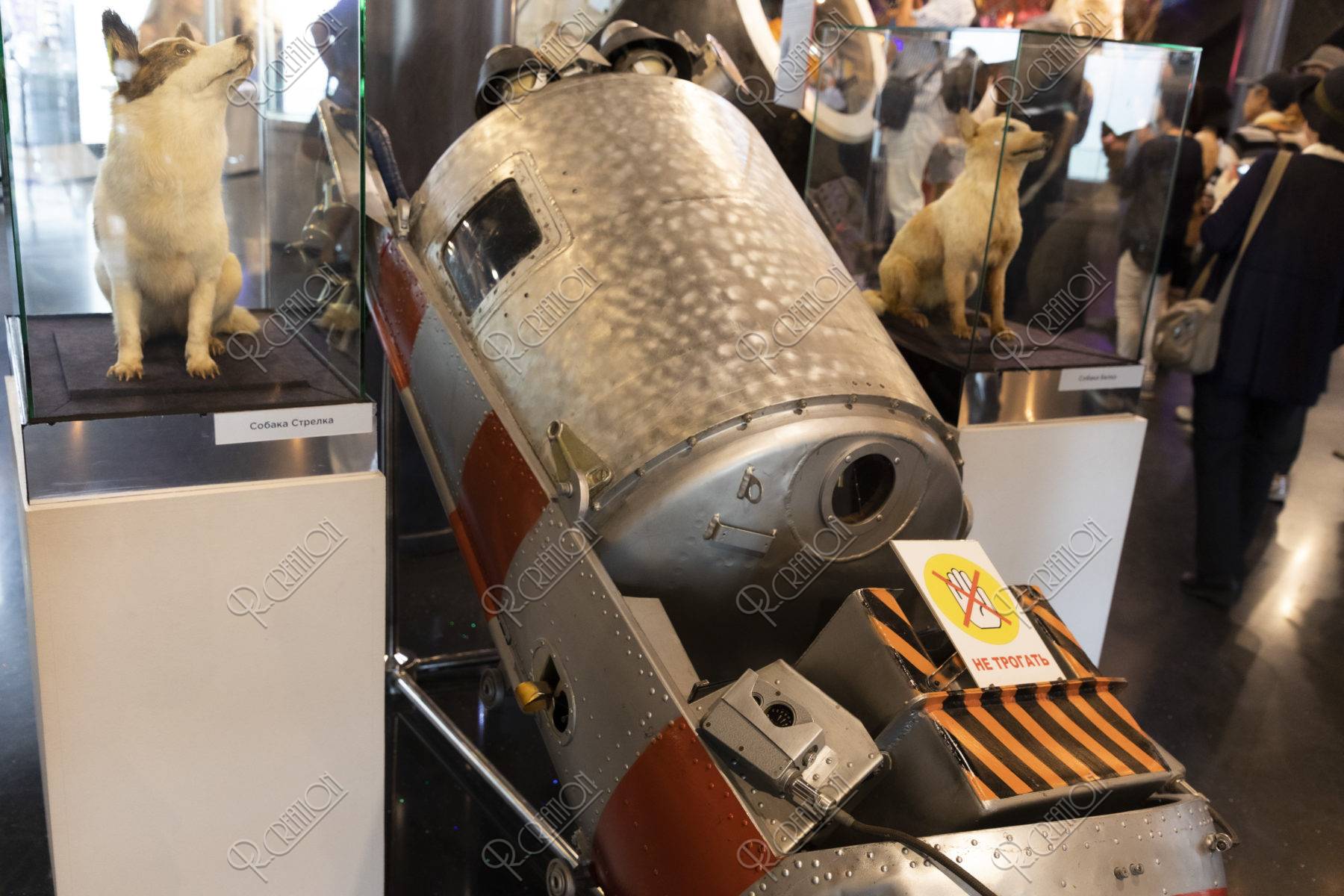 宇宙飛行士記念博物館 内部 宇宙犬とスプートニク