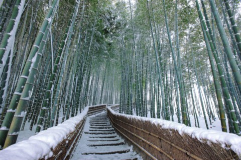 雪の竹林の道　嵯峨野