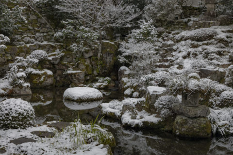 雪の実光院庭園