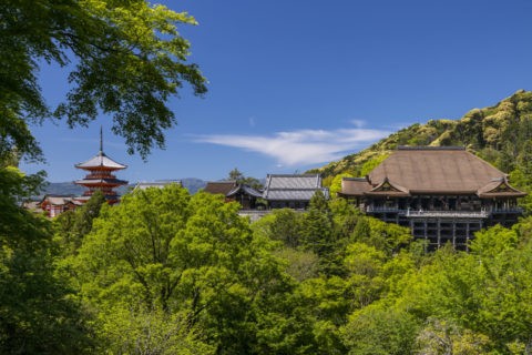 新緑の清水寺全景