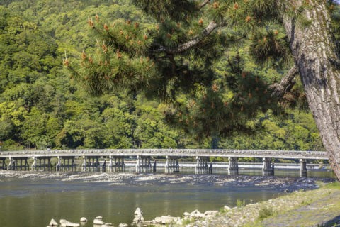 新緑の嵐山渡月橋