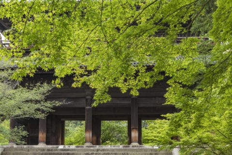 新緑の南禅寺三門