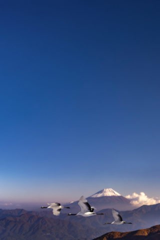 富士山と丹頂鶴CG