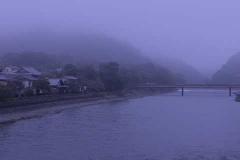朝霧橋と宇治川の朝霧