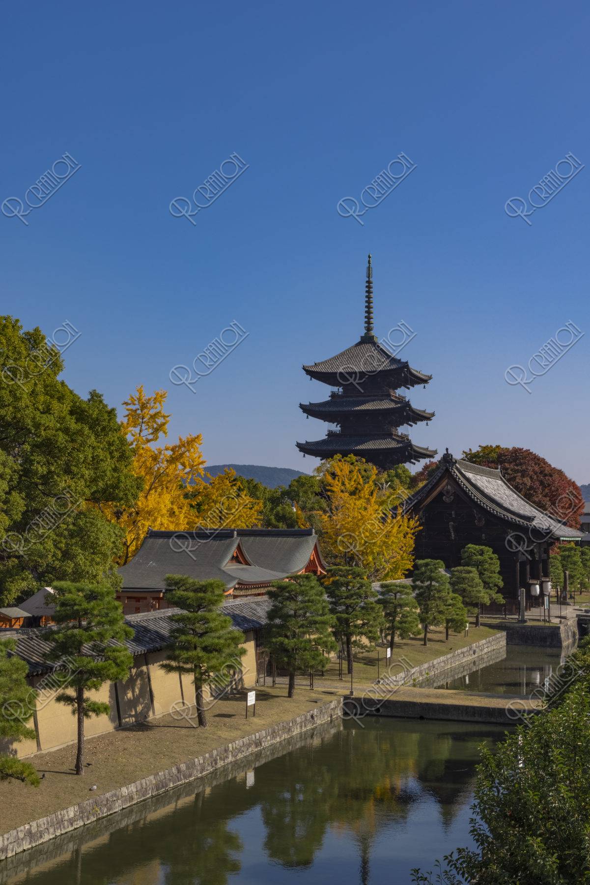 東寺と銀杏